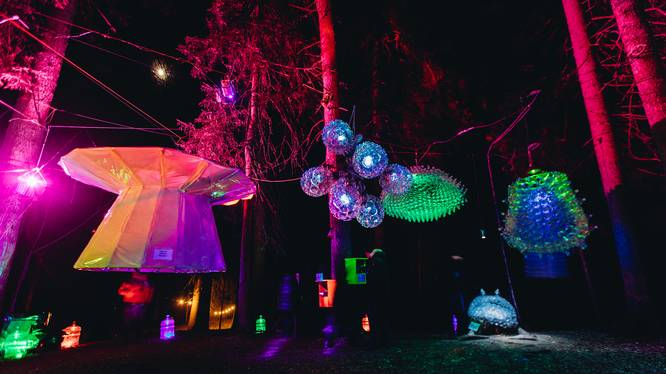 Zauberwald Lenzerheide Wald wird mit farbigen Lichtern beleuchtet