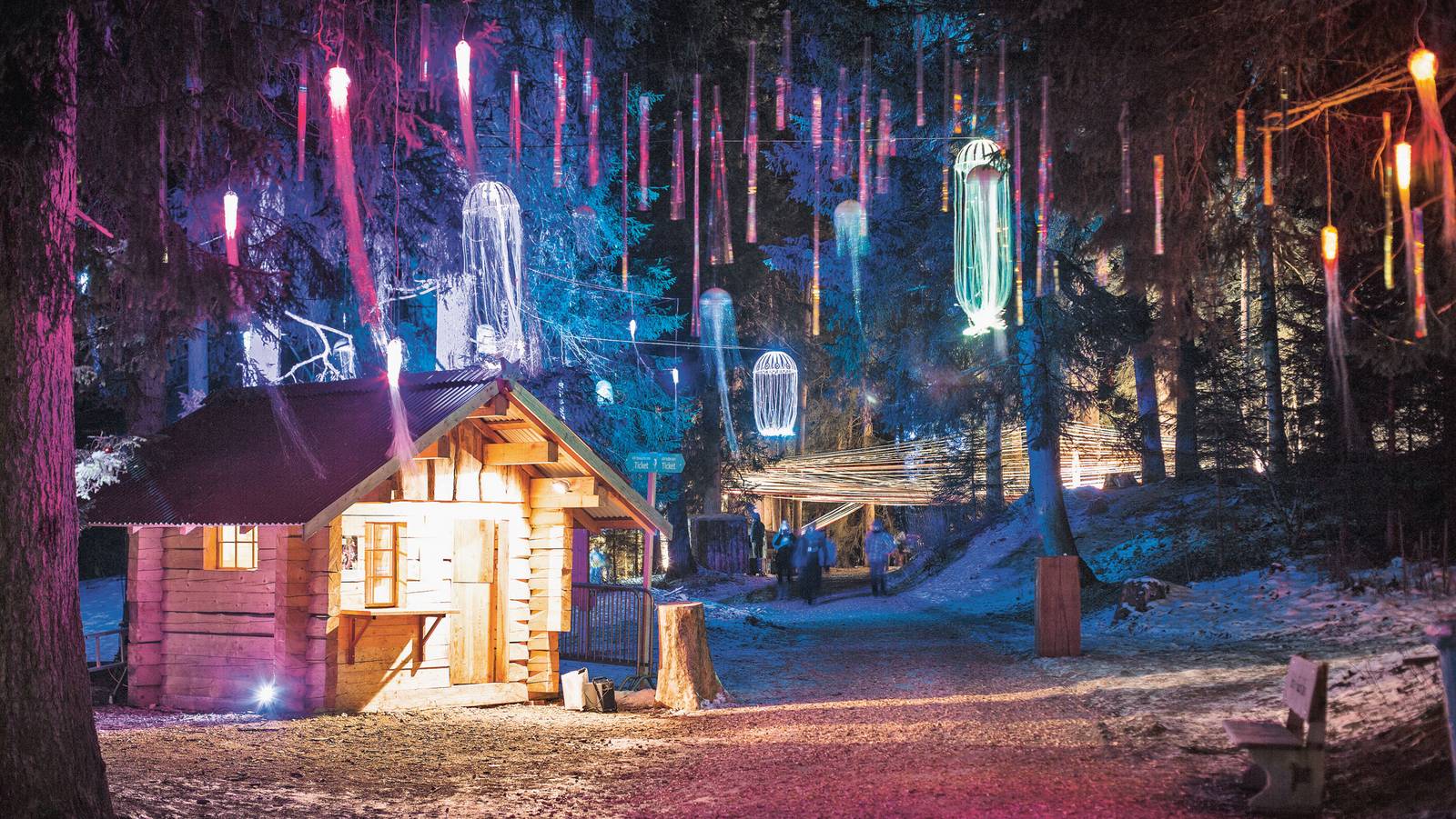 Projektarbeit Bachelorstudium Betriebsökonomie Projekt Zauberwald (Bachelor in Betriebsökonomie): Lichtspiel im Wald bei einer Hütte