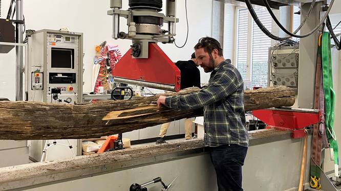 Ein Baulabor-Versuch für das Projekt «Holzpalisaden als Steinschlagschutz», in dem die Schutzwirkung bestehender Steinschlagbarrieren aus Holz als nachhaltige Alternative zu konventionellen Lösungen untersucht wird. Hochschulen als Treiber einer nachhaltigen Transformation