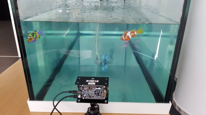 Die 3d-TOF Kamera vor einem Test-Aquarium Die 3d-TOF Kamera vor einem Test-Aquarium