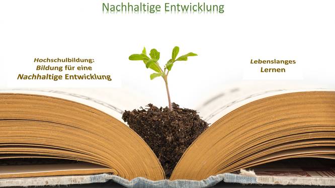 689968266 Plant growing from an old opened book, isolated on white background, education or recycling concept