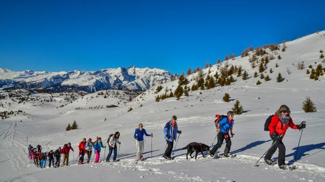 Wintersporttag mit Schneeschuhen Wintersporttag mit Schneeschuhen